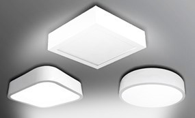 blog-image